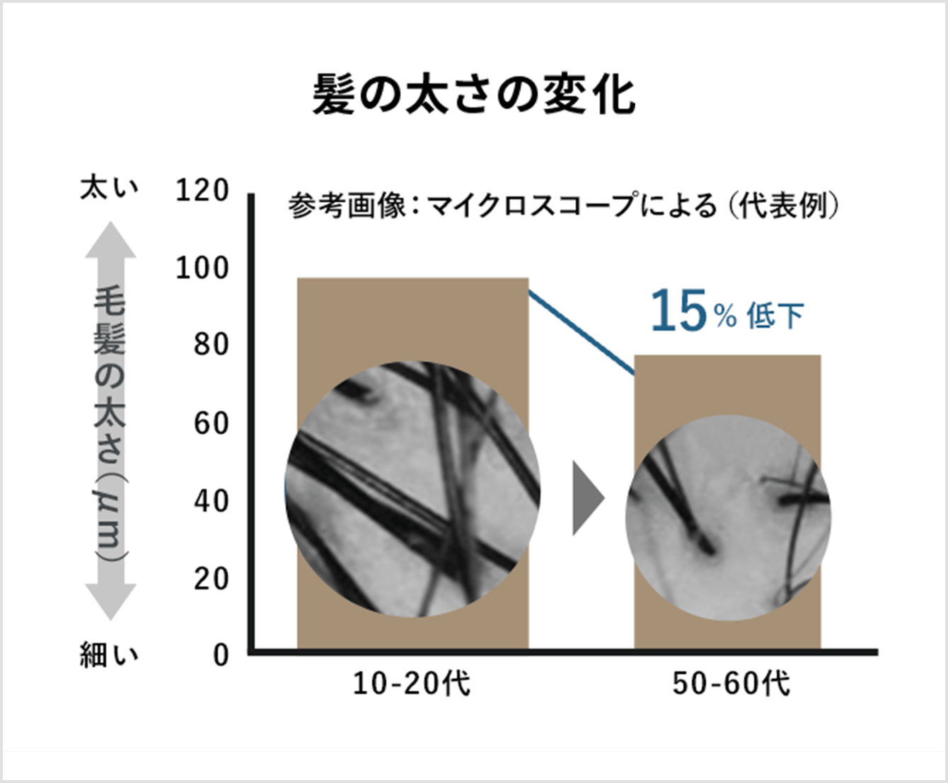 髪の太さの変化