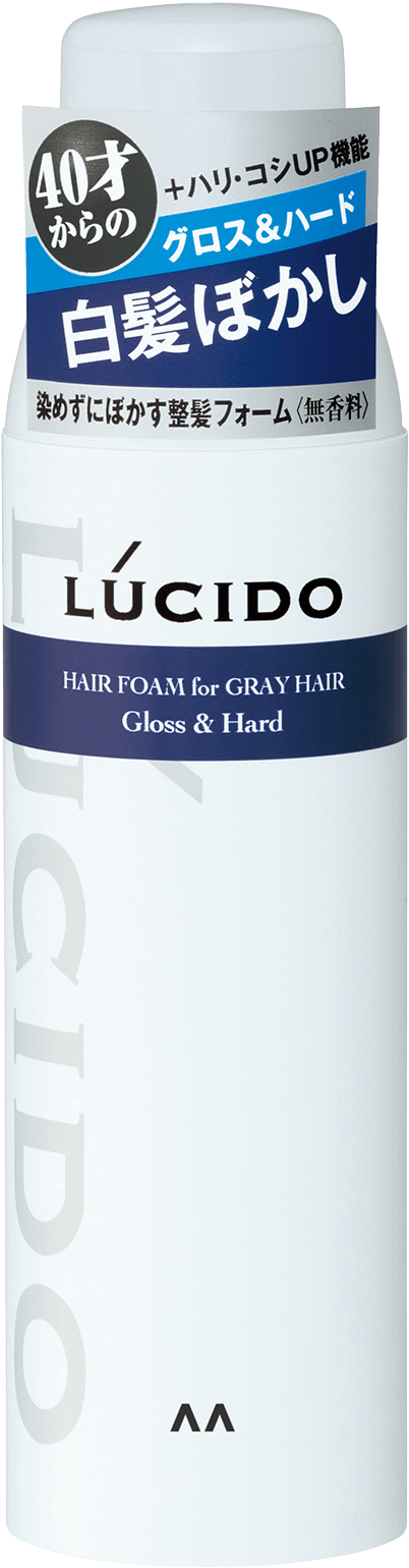 白髪用整髪フォーム　グロス＆ハード
