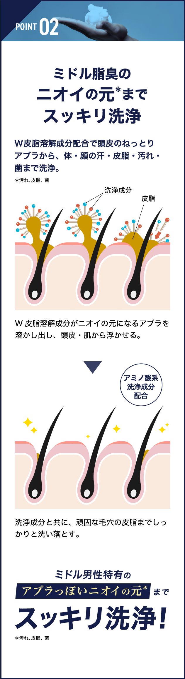 POINT 02 ミドル脂臭のニオイの元までスッキリ洗浄　ミドル男性特有のアブラっぽいニオイの元までスッキリ洗浄!