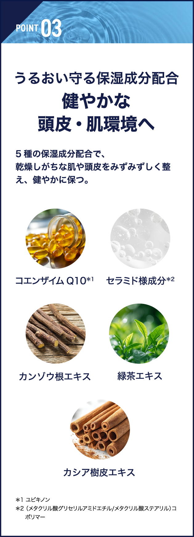 POINT 03 うるおい守る保湿成分配合 健やかな頭皮・肌環境へ