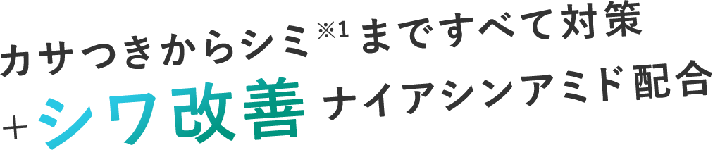 カサつきからシミ※1まですべて対策+シワ改善 ナイアシンアミド配合